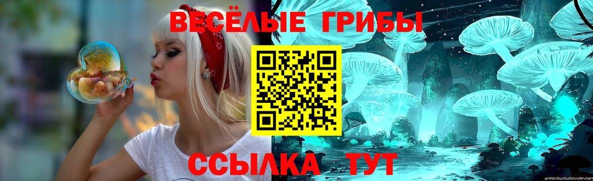 Новоалтайск  Псилоцибиновые грибы MAGIC MUSHROOMS  Вход с VPN 